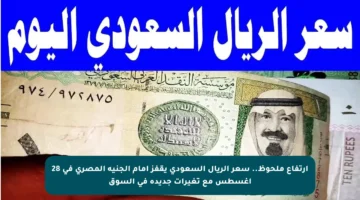 ارتفاع ملحوظ.. سعر الريال السعودي يقفز أمام الجنيه المصري في 28 أغسطس مع تغيرات جديدة في السوق